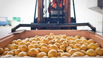 Retailers selling produce