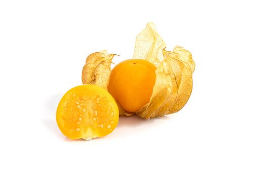 cape gooseberry
