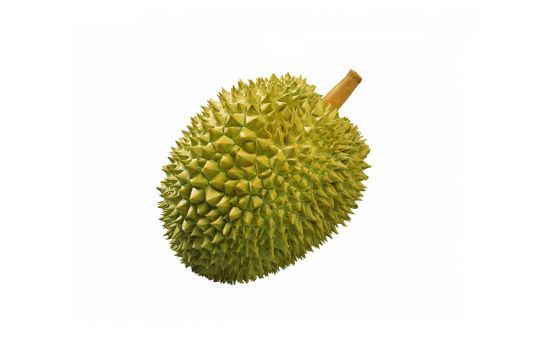 durian
