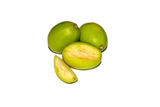 june plum