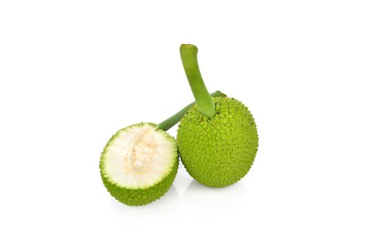 breadfruit