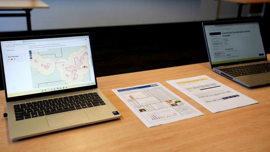 fruit fly detections map
