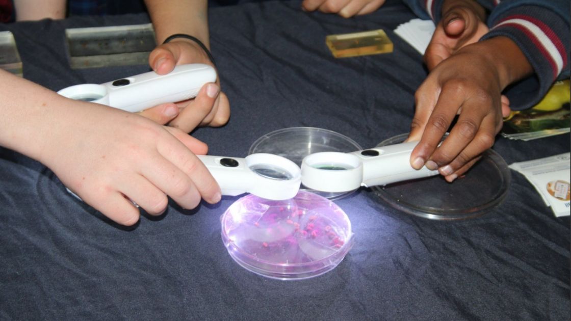Science shines at environmental forum for Riverland primary students