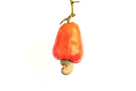 Cashew apple