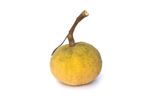 santol