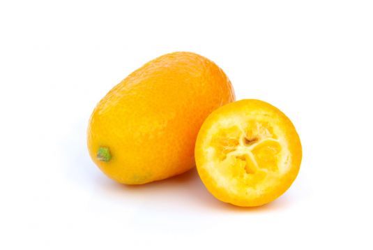 Kumquat