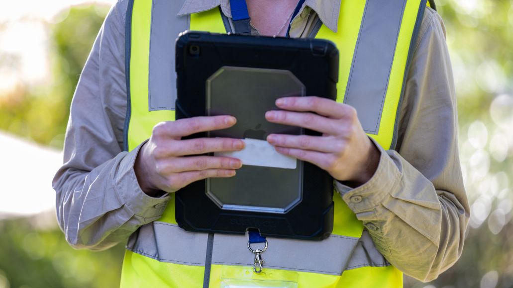 Fruit fly officer with tablet
