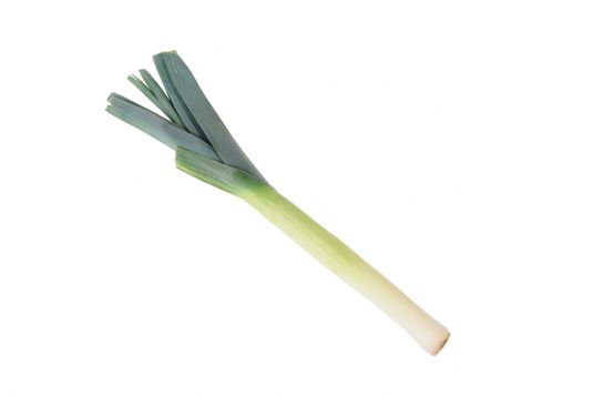 leek