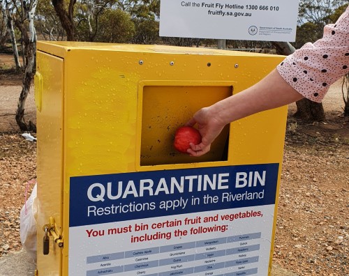 Quarantine bin