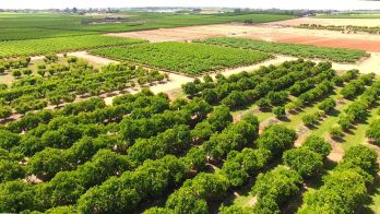 Riverland grower SMS alerts