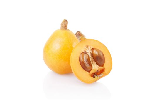 loquat