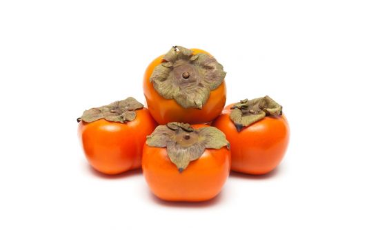 persimmon
