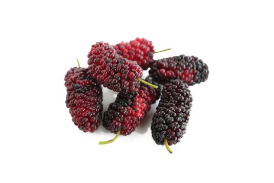 mulberry