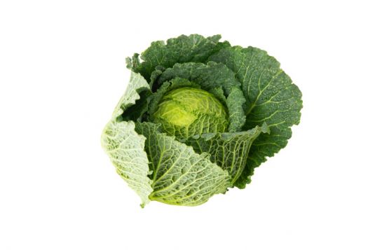 cabbage
