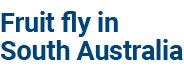 Home – Fruit fly in South Australia logo