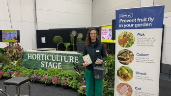Make the most of your produce: Fruit fly friendly recipes