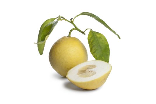 citron