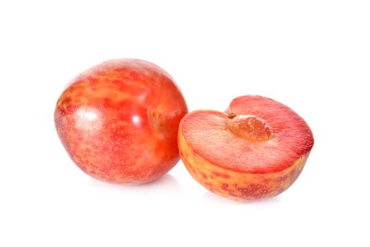 plumcot