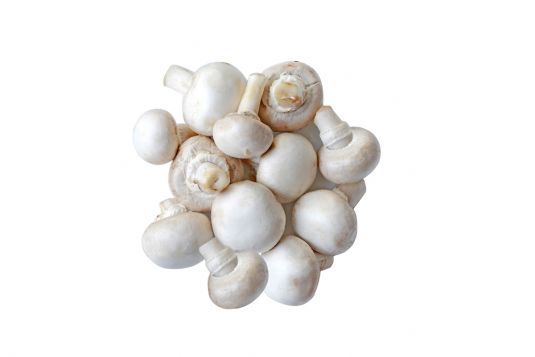 mushroom