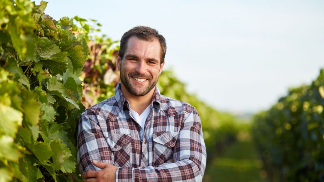 A man in a checked shirt standing next to rows of grape vines.