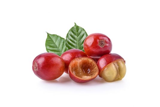 coffee berry