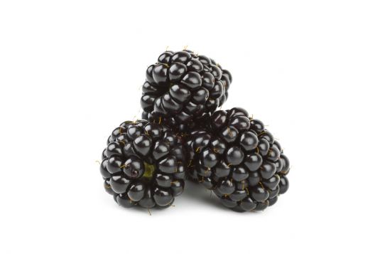 blackberry