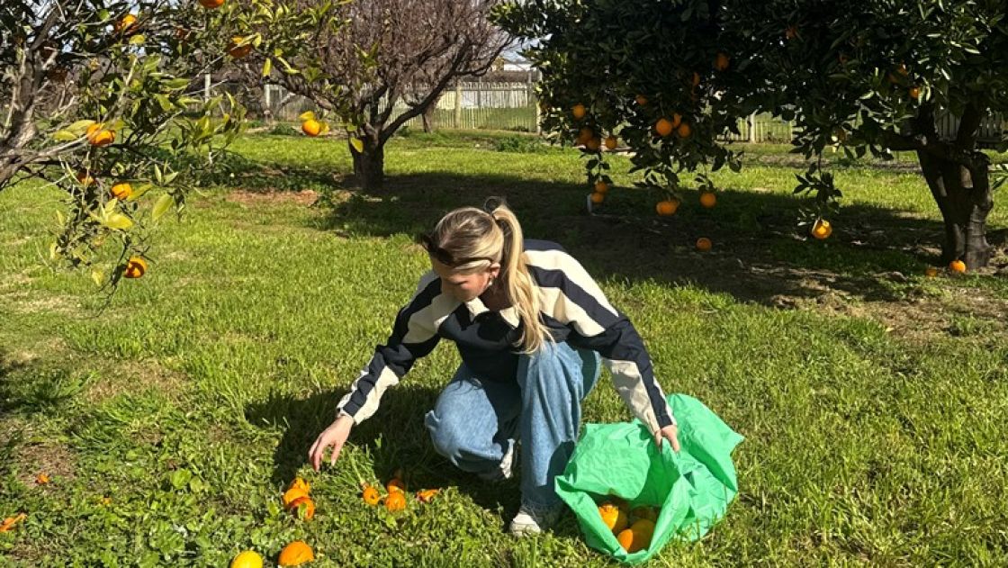 picking fruit off the ground