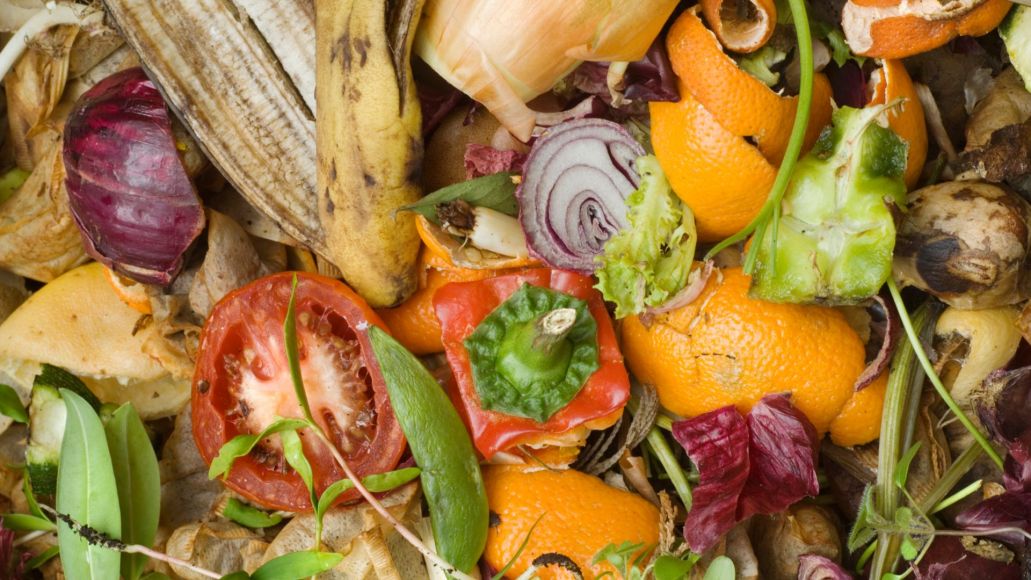 Assorted fruit and vegetable scraps.