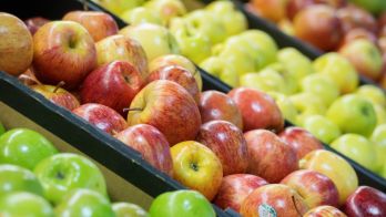 Moving and storing produce