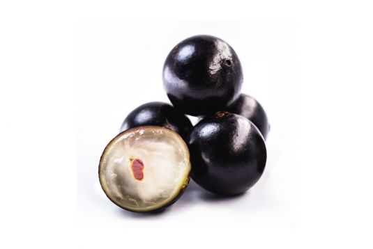jaboticaba