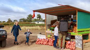 Markets, shed doors & roadside sellers