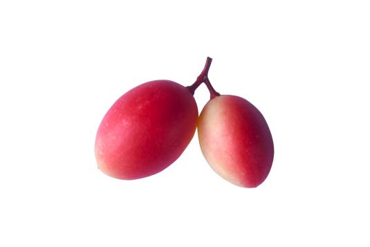 miracle fruit