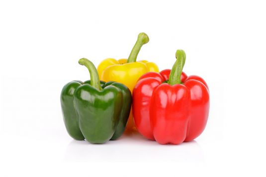 capsicum