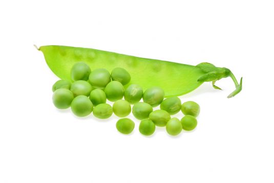 snowpea