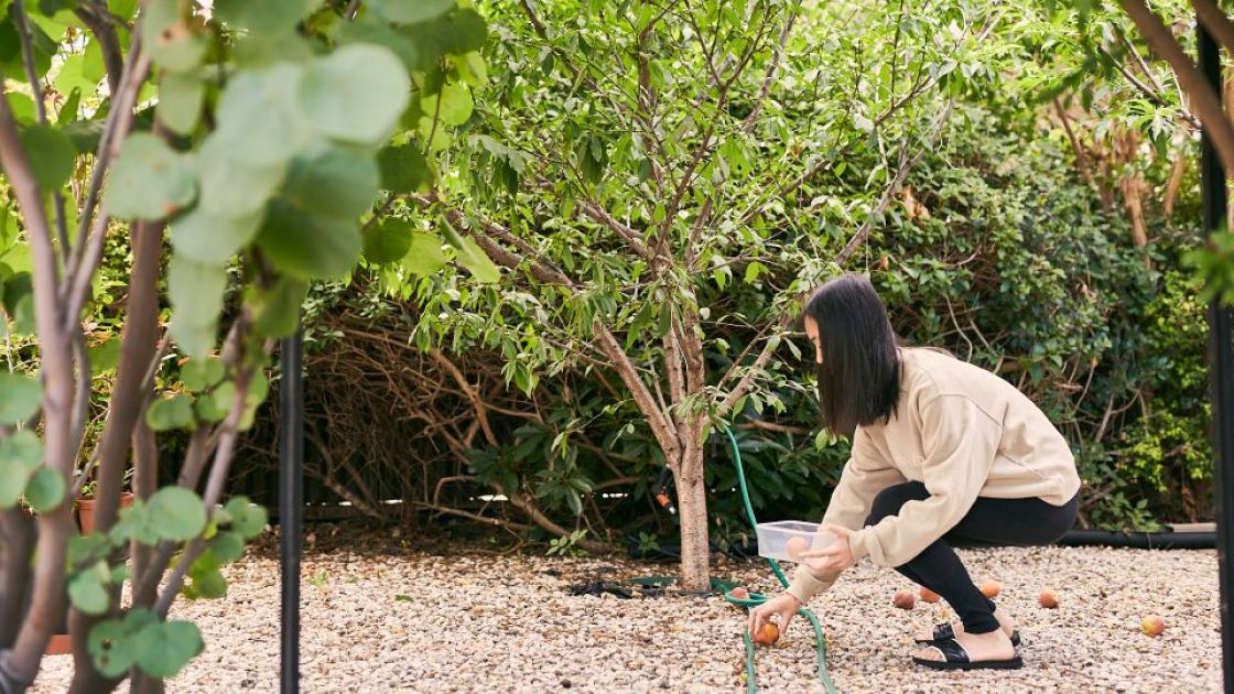 Spring cleaning your garden