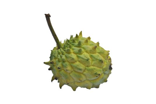 rollinia