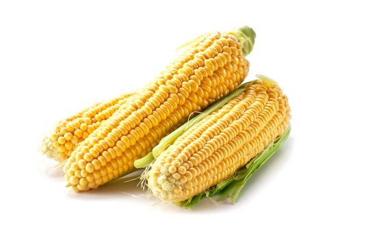 corn